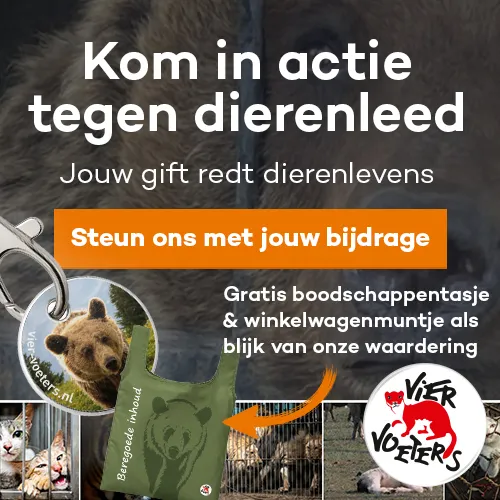 Logo VIER VOETERS